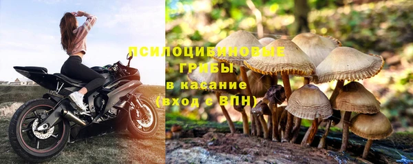 меф Бородино